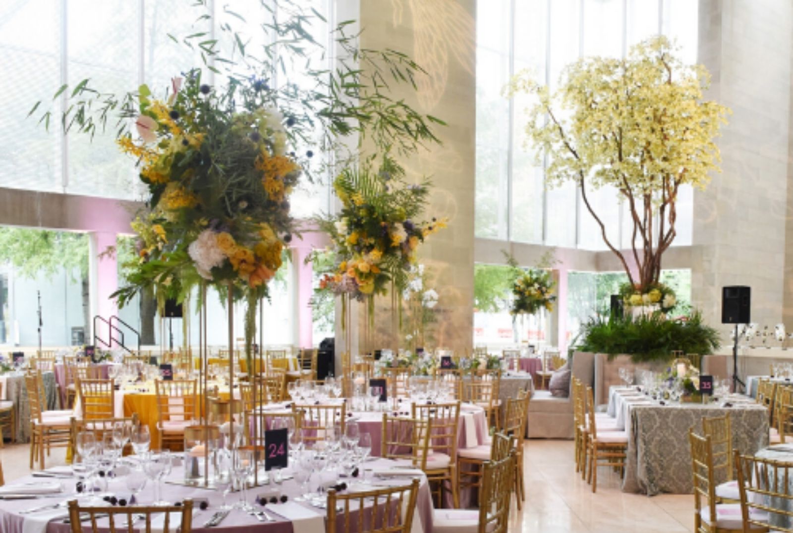 Meyerson Rentals Dallas Symphony Orchestra