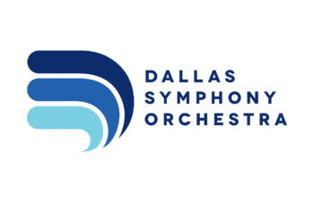 DSO Logo