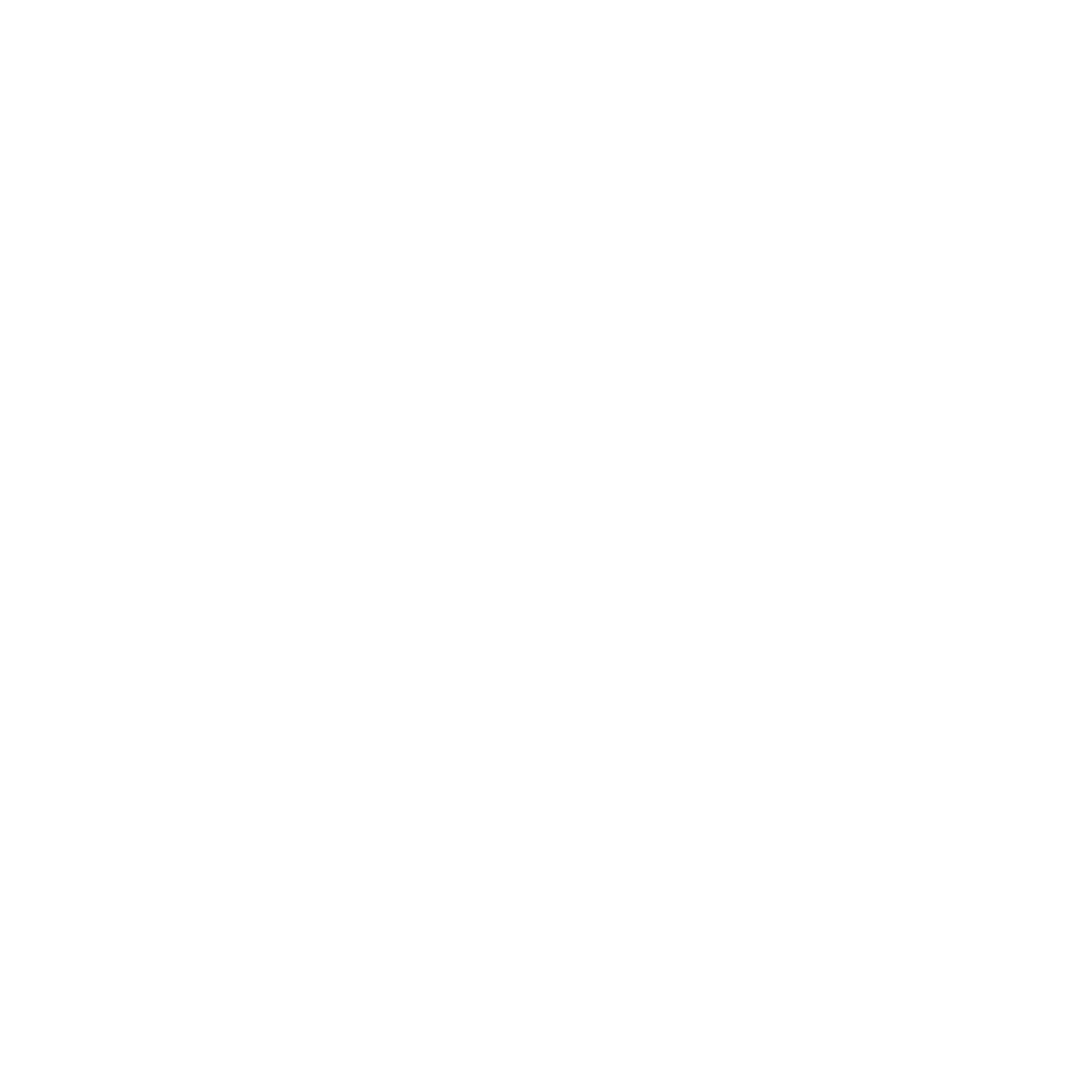 person at podium icon